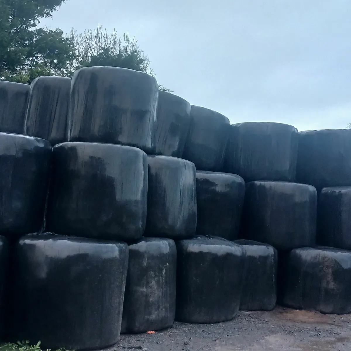 Silage bale - Image 1