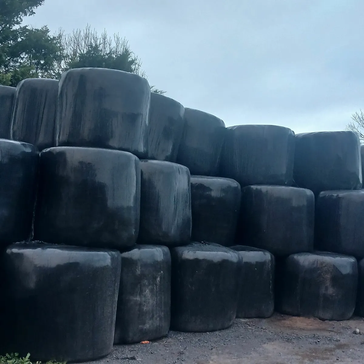 Silage bale - Image 2