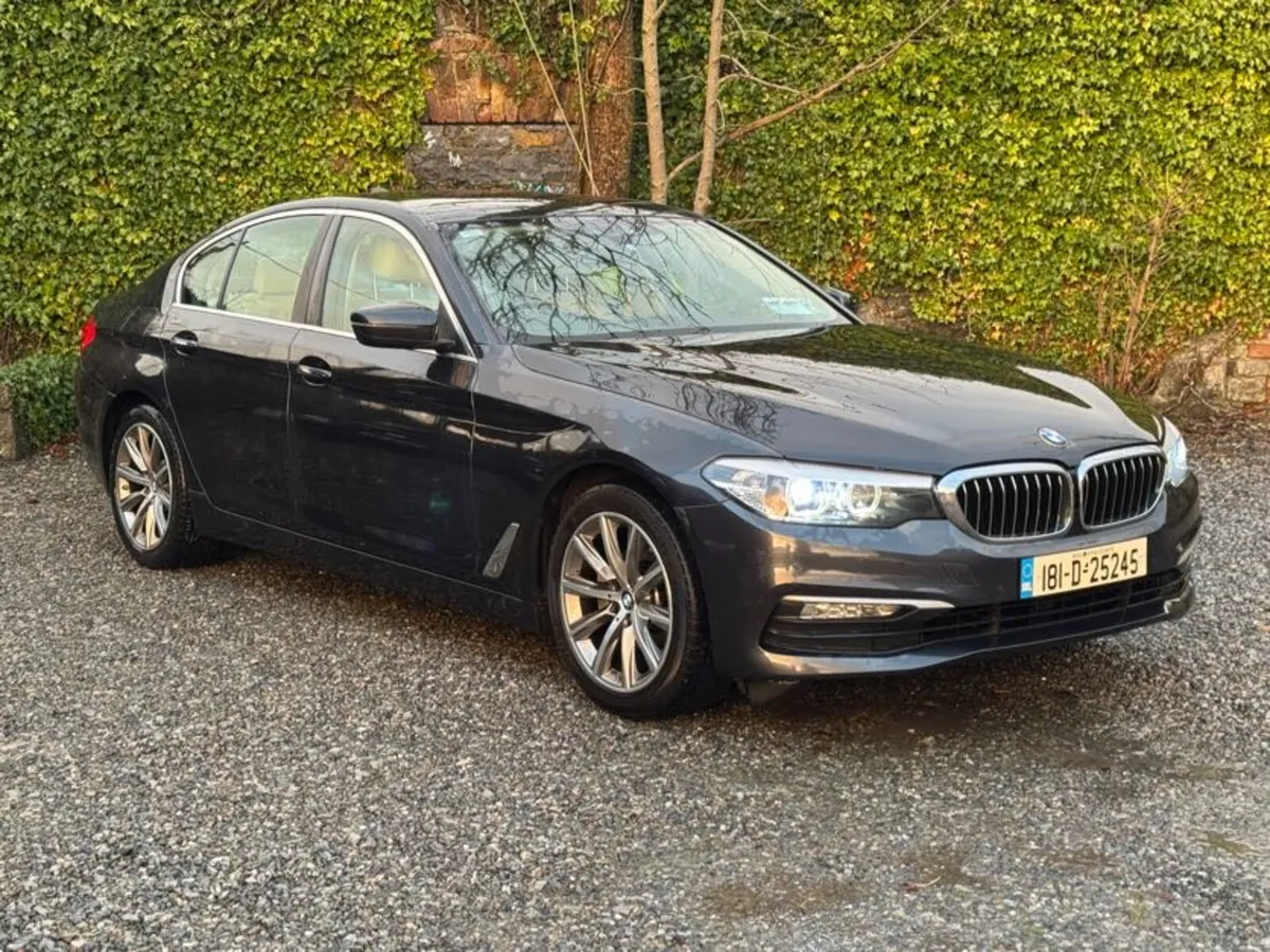 2018 BMW 520D SE Auto - Image 1