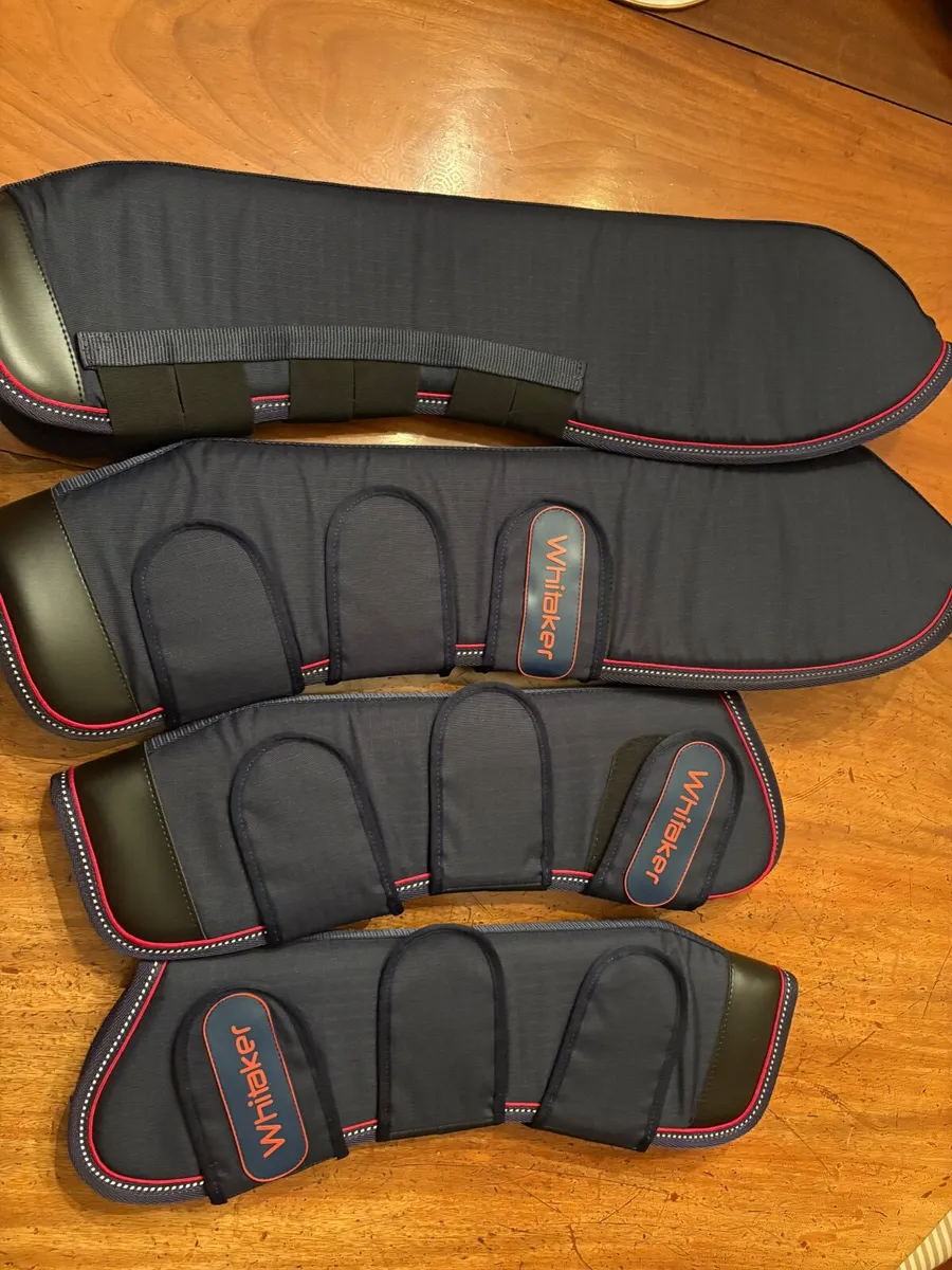 Whitaker Travel boots - Image 3