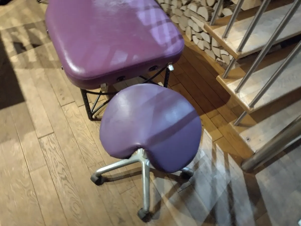 Professional Massage Table Oakworks Advanta - Image 4