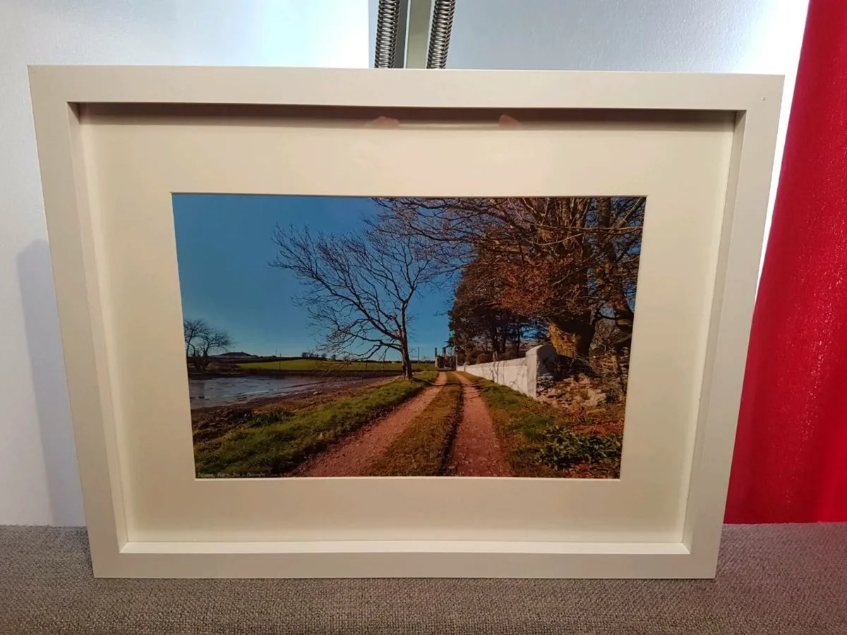 Ballyannan Castle, Midleton - Image 4