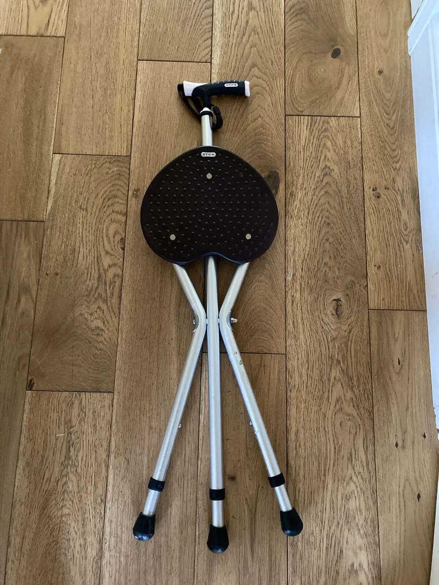 Seat / Walking Stick combo - Image 2