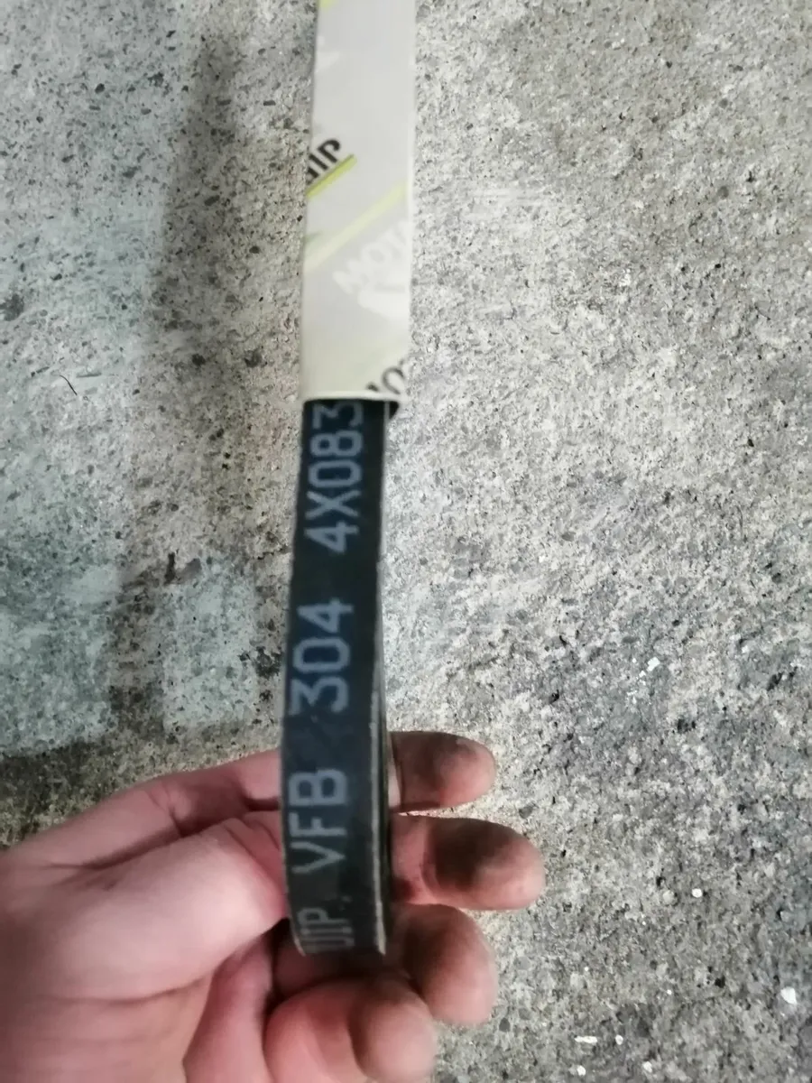 Motaquip multi ribbed belt 4 x 0837 a vfb304  Bran - Image 2