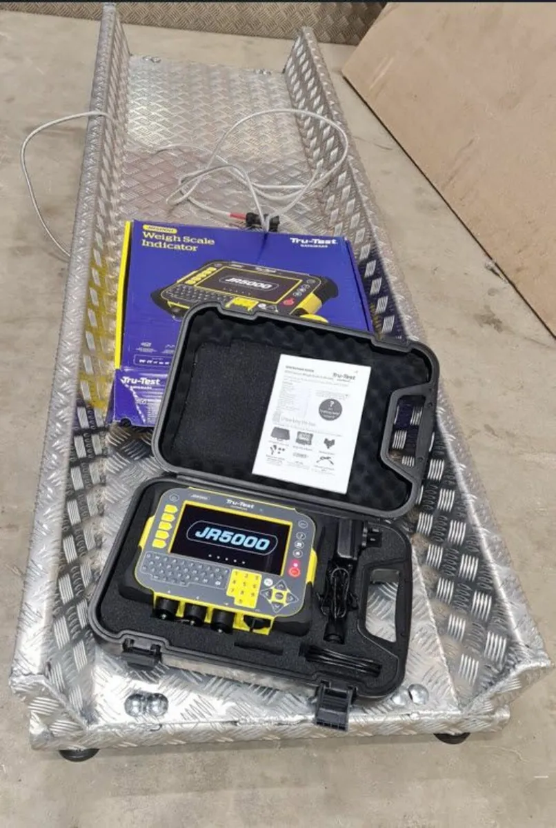 Weigh Ready Crush, platform scales - Image 1