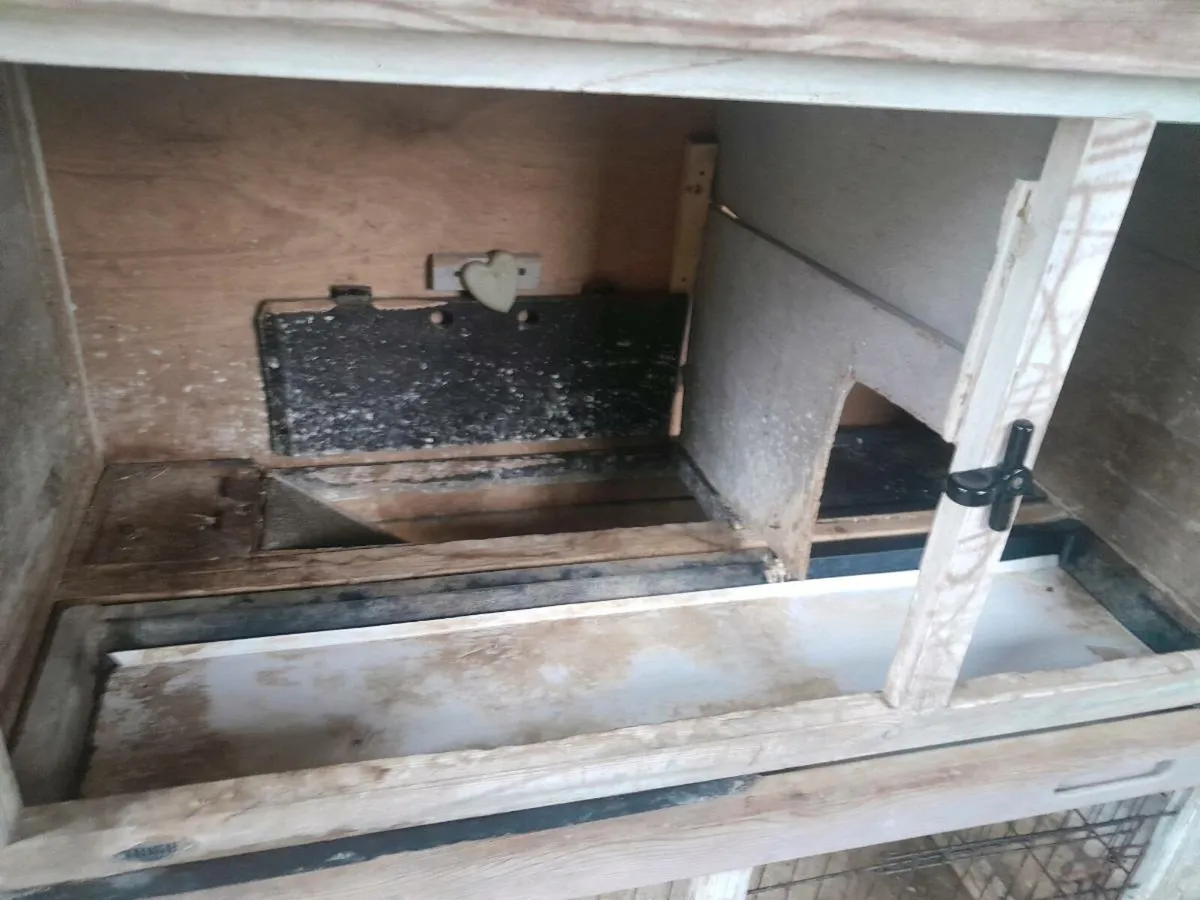 Guinea pig hutch - Image 1