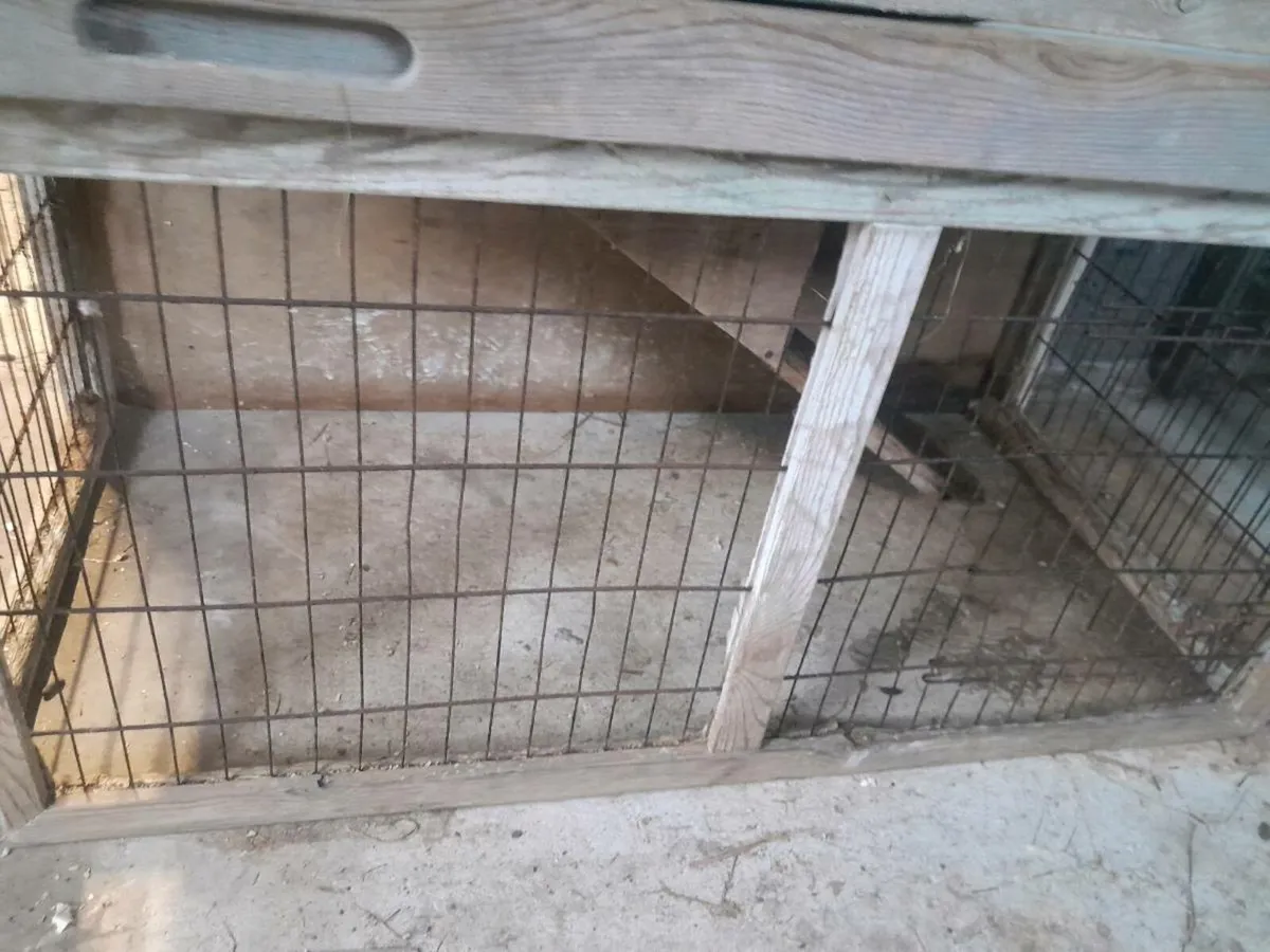 Guinea pig hutch - Image 2