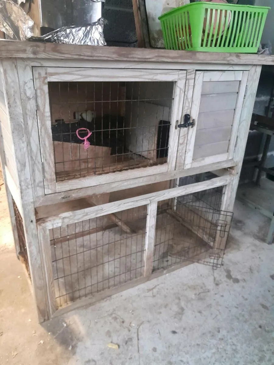 Guinea pig hutch - Image 4