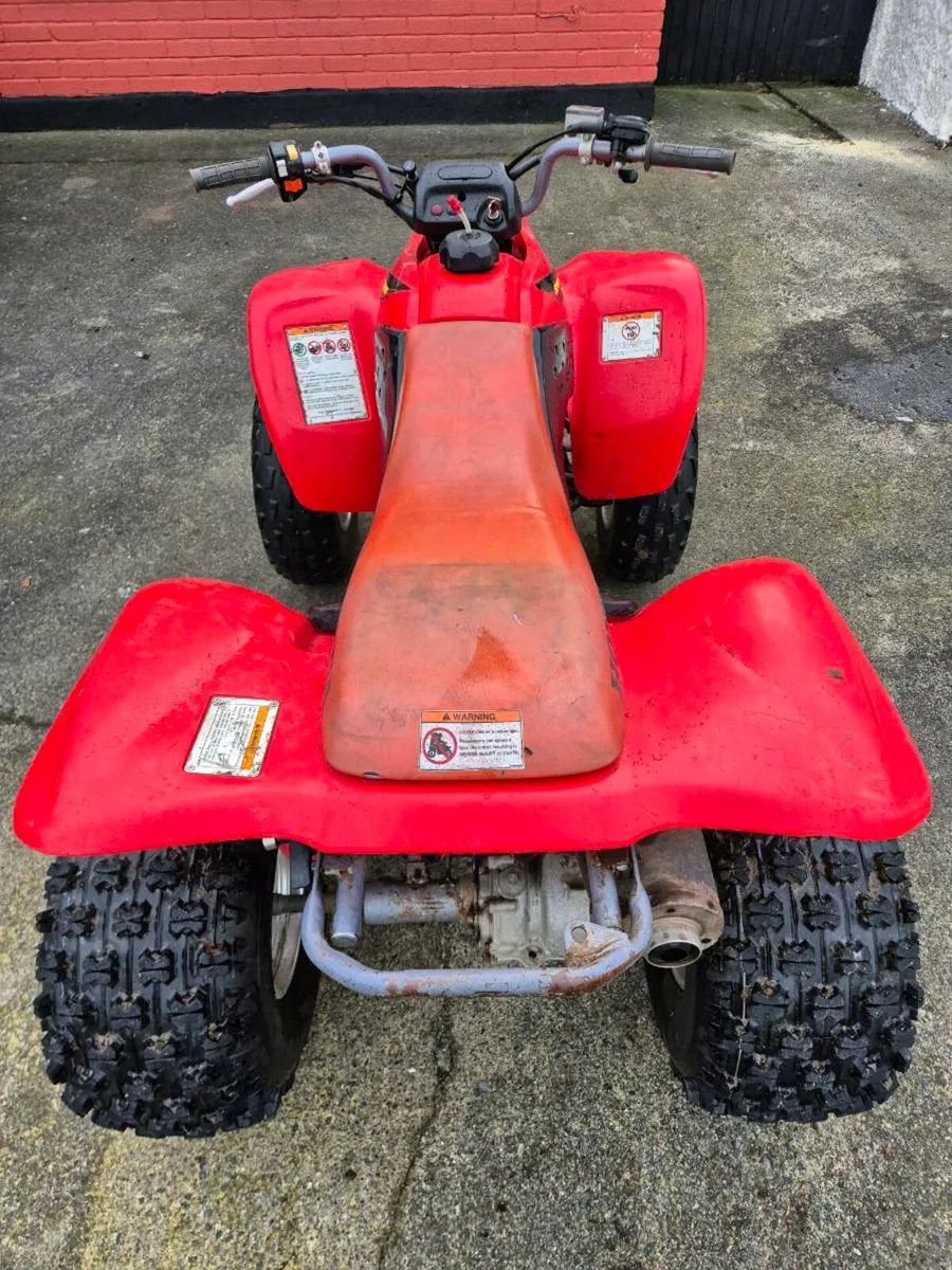 Honda trx 250 - Image 4