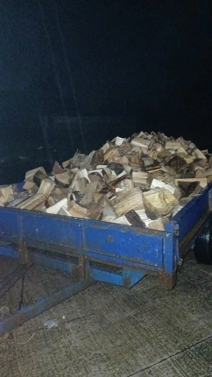 Firewood - Image 2
