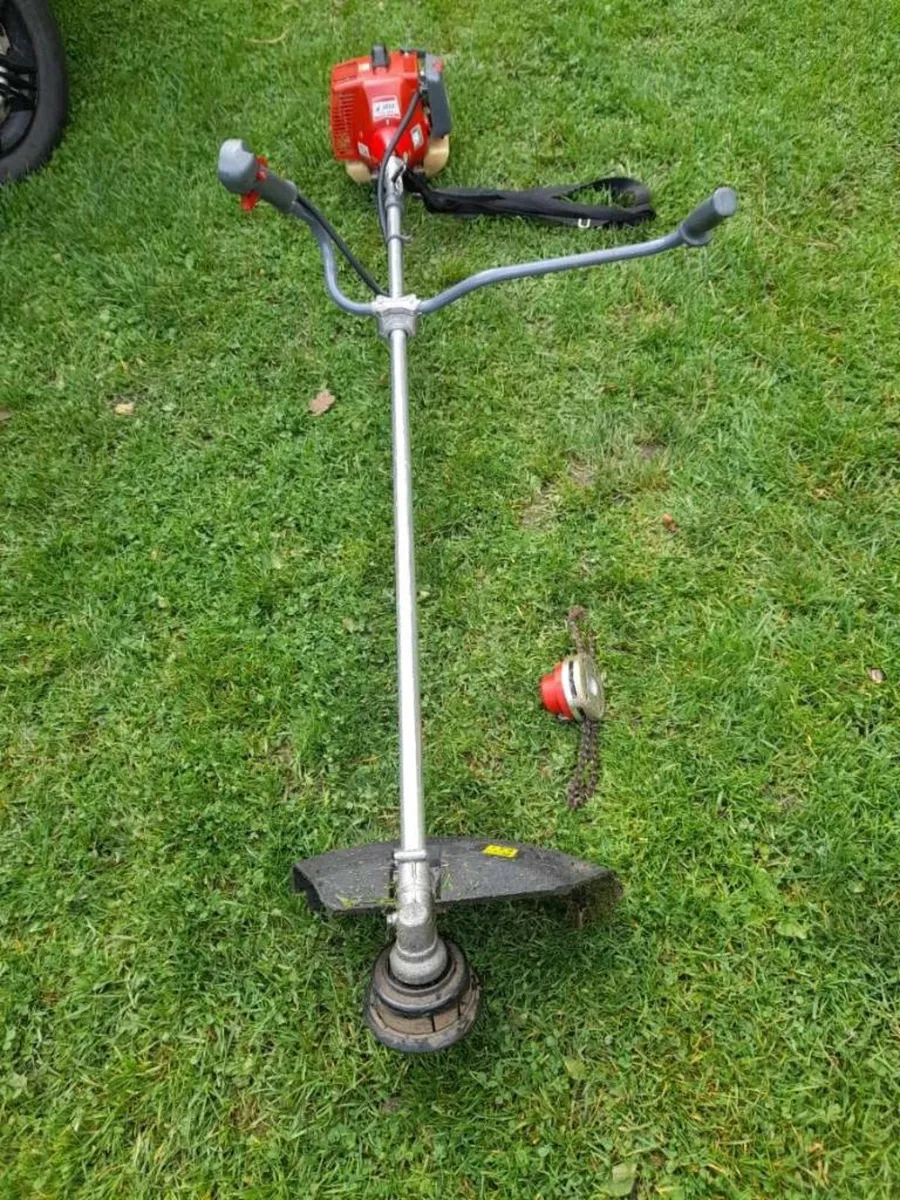 Strimmer & hedge trimmer - Image 1