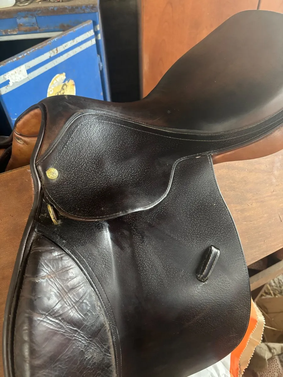Saddle - Image 4