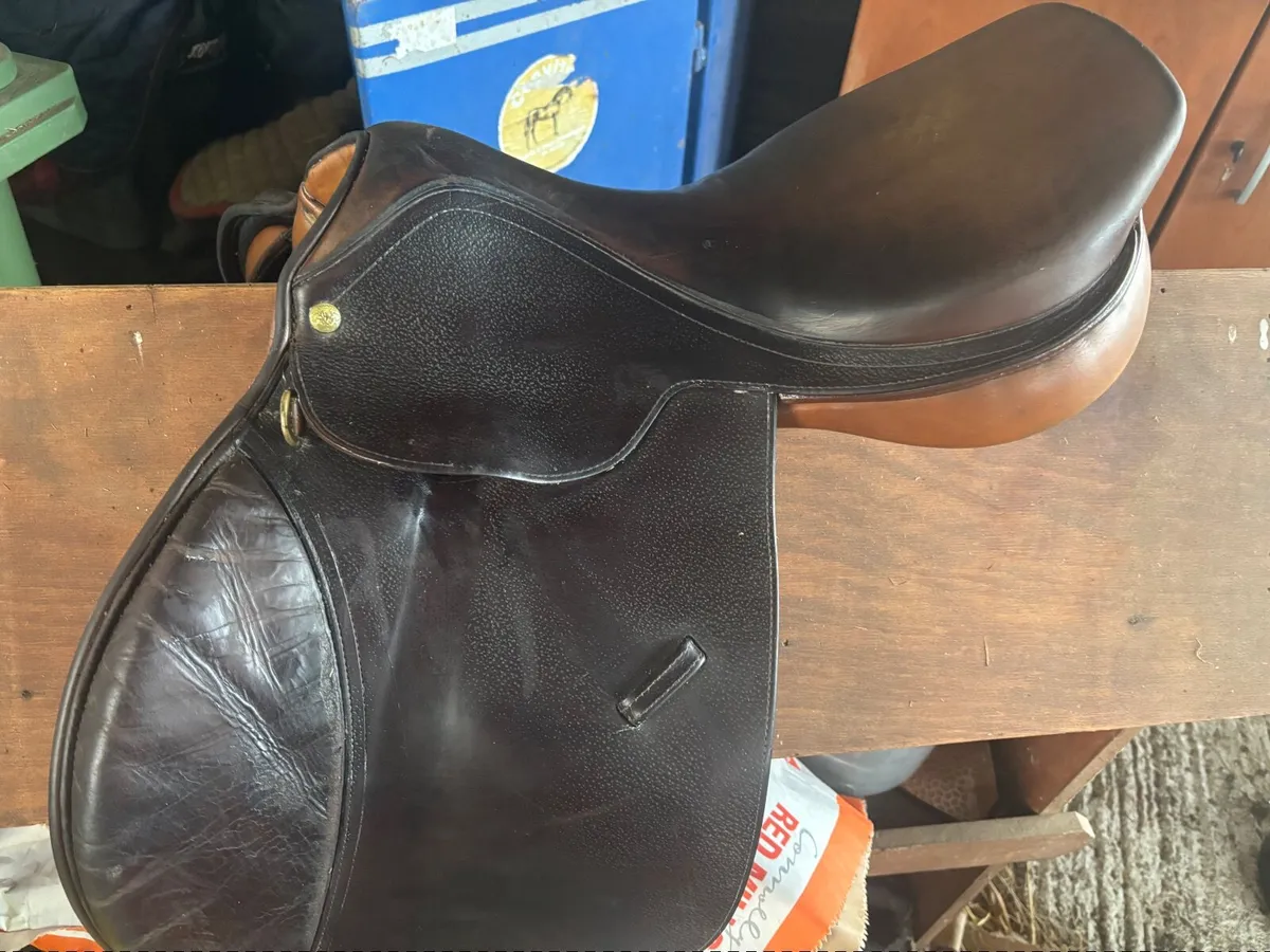 Saddle - Image 1