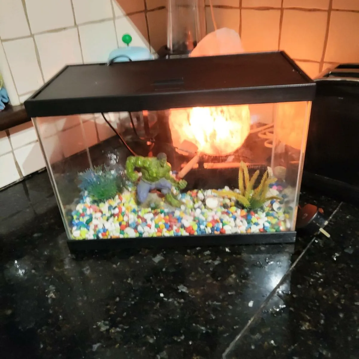 Fish Tank - Image 1