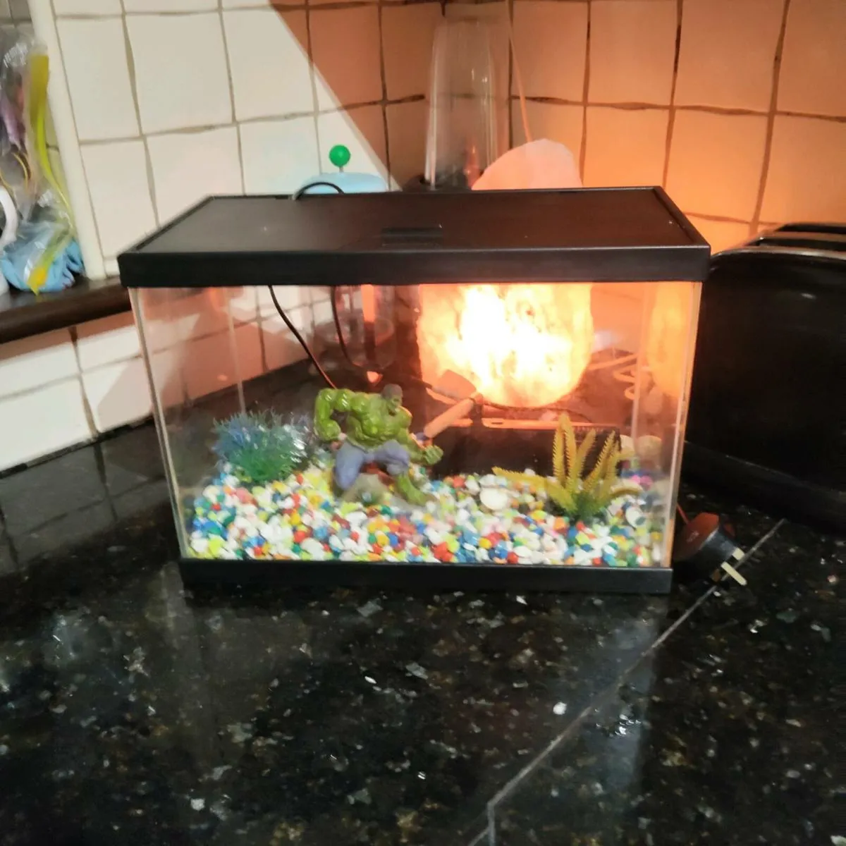 Fish Tank - Image 2