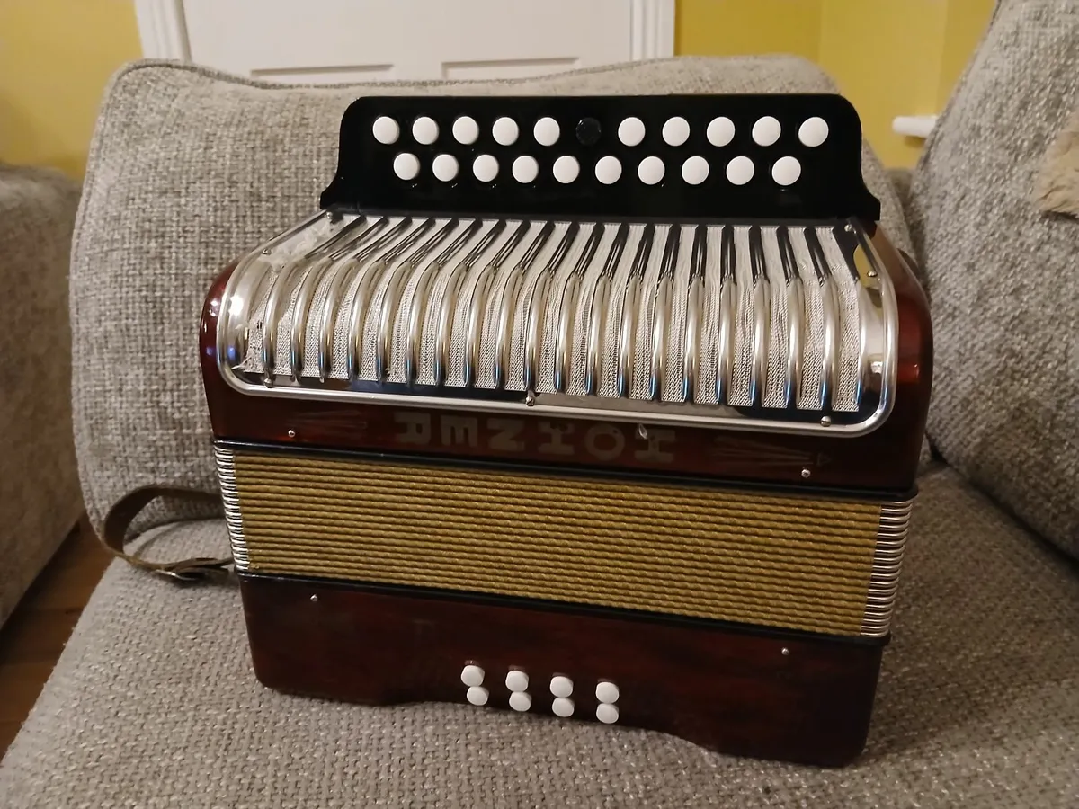 Button accordian - Image 3