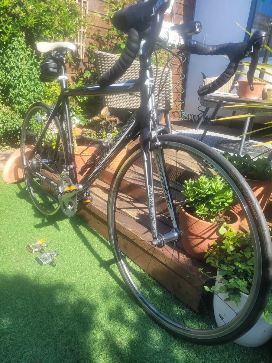 Carratec Adult Racing Bike - Excellent Condition - Image 3