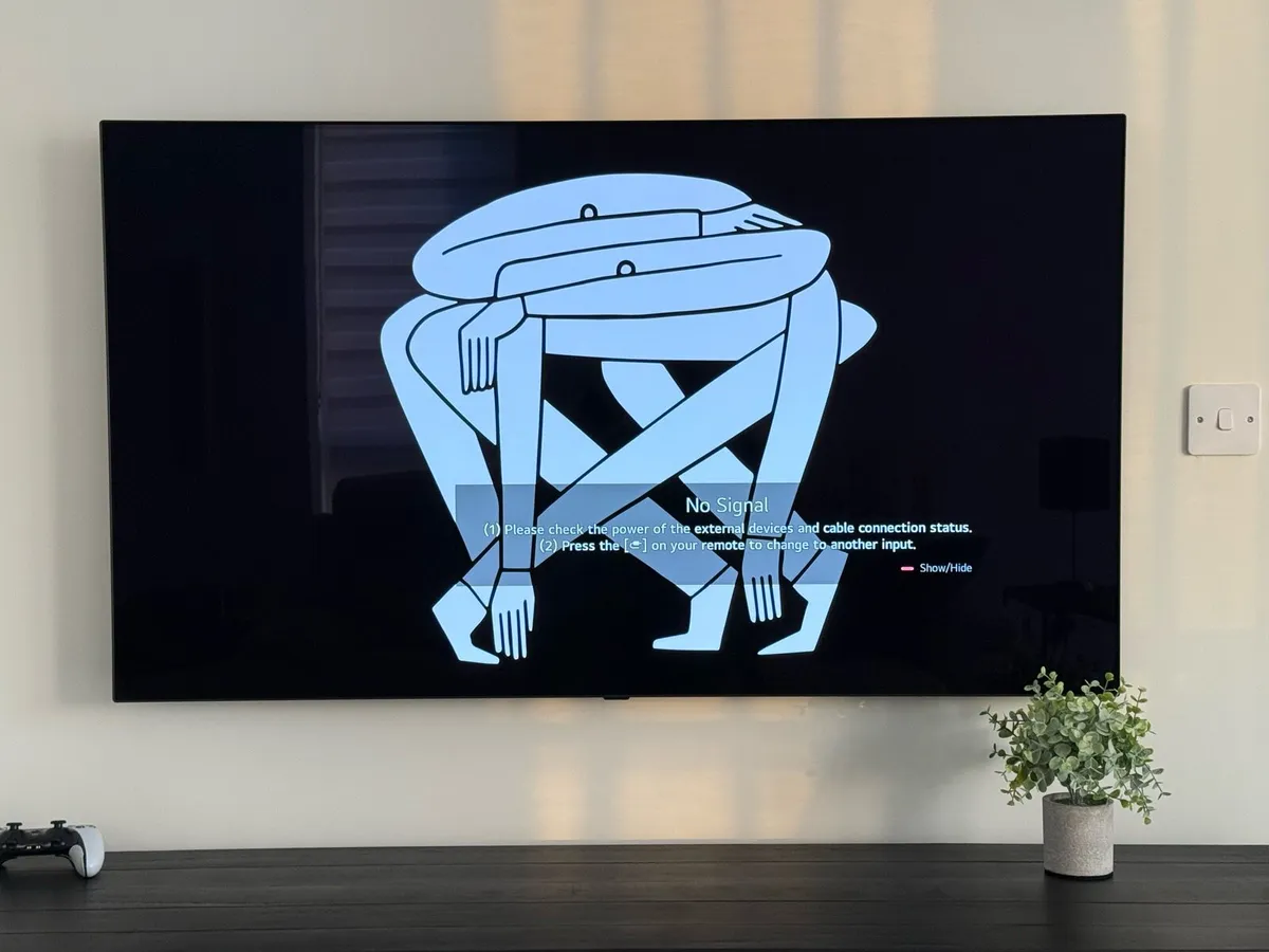 LG Smart 55” 4k CX series