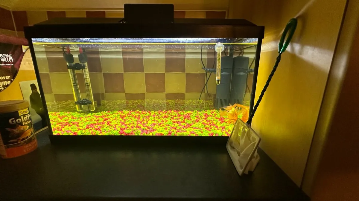 Fish Tank - Oranda Fish & accessories - Image 1