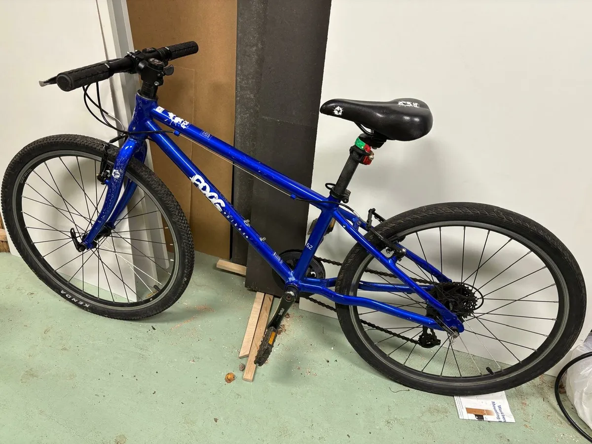 Frog 24 inch Bicycle