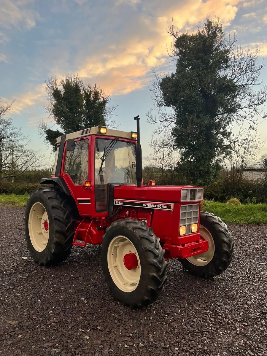 International 955xl - Image 3