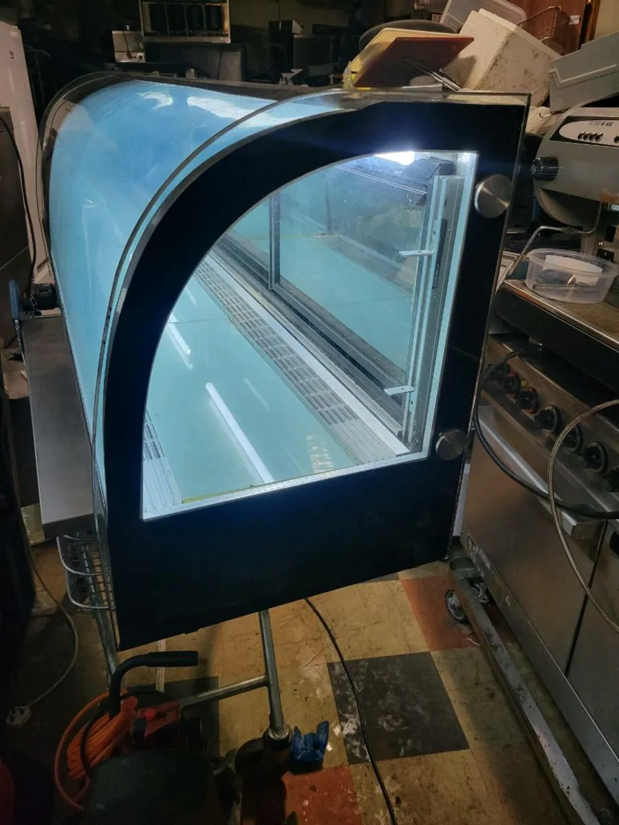 Fridge Sushi, Sandwiches Display Fridge. - Image 1