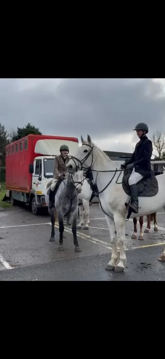 Hunter / allrounder - Image 1