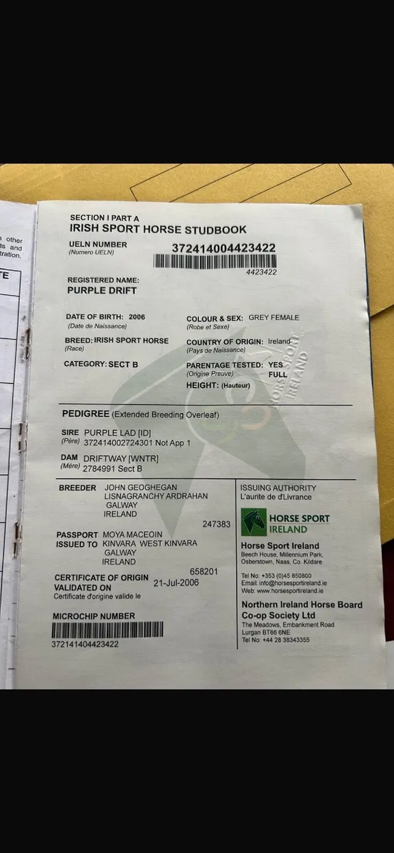 Hunter / allrounder - Image 2