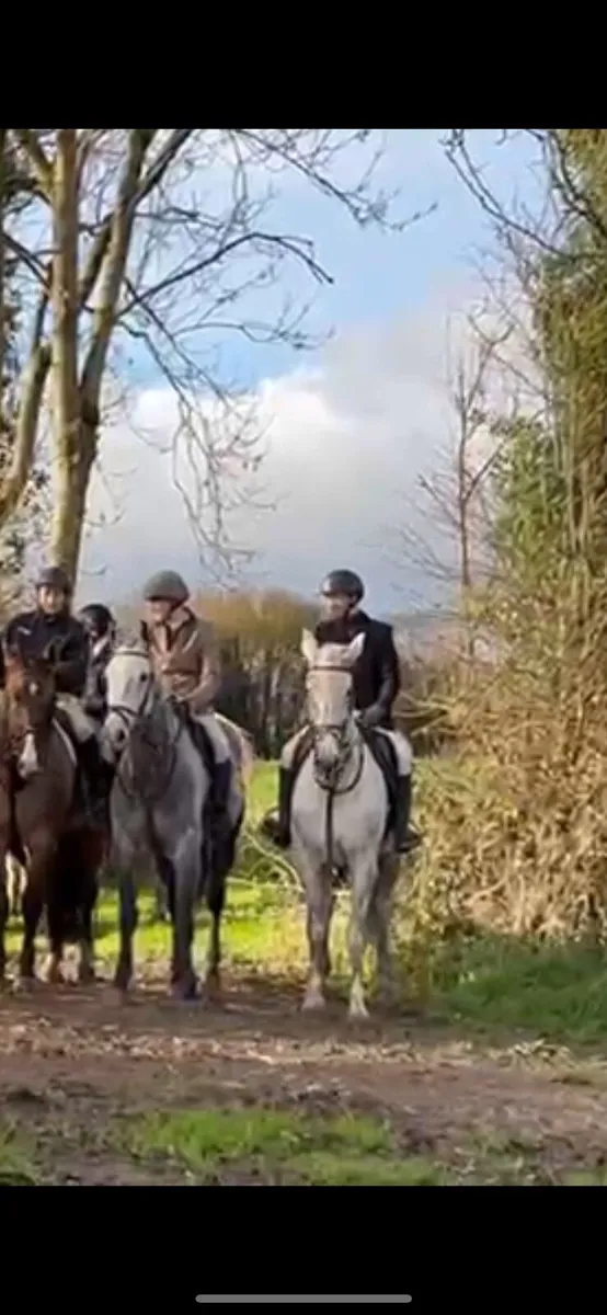 Hunter / allrounder - Image 3