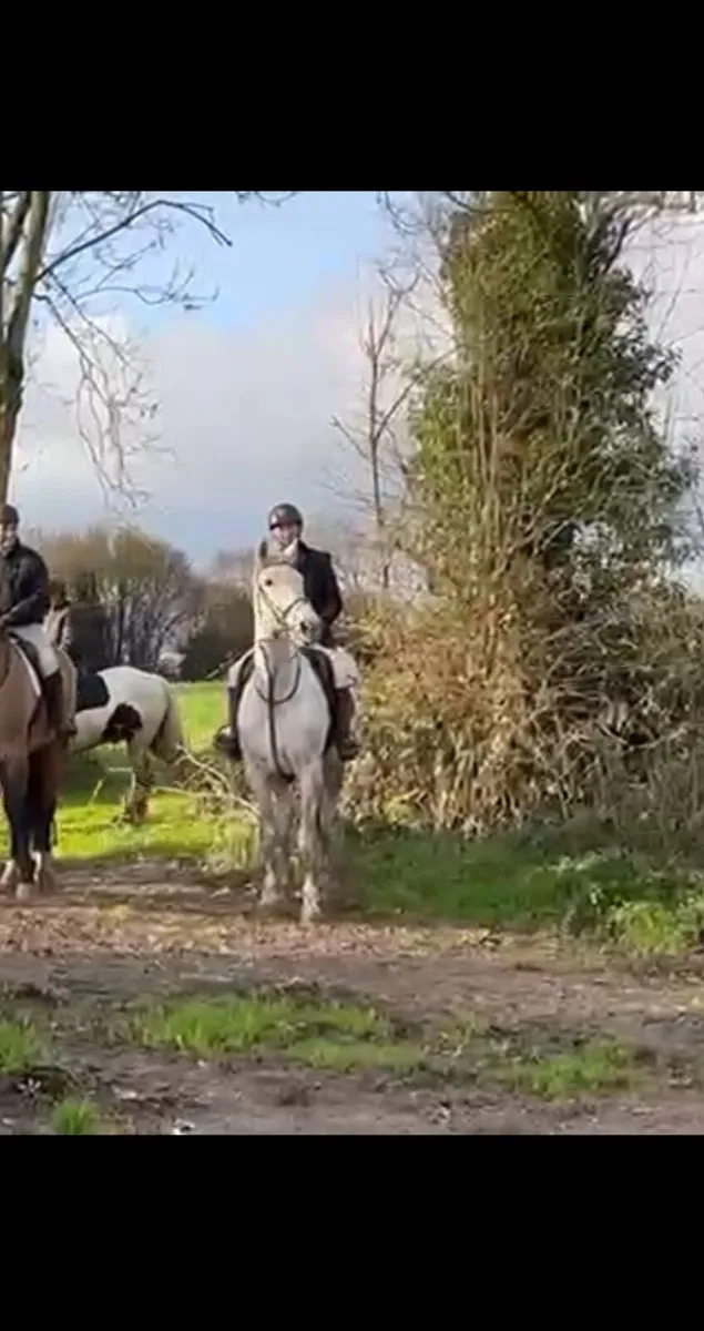 Hunter / allrounder - Image 4