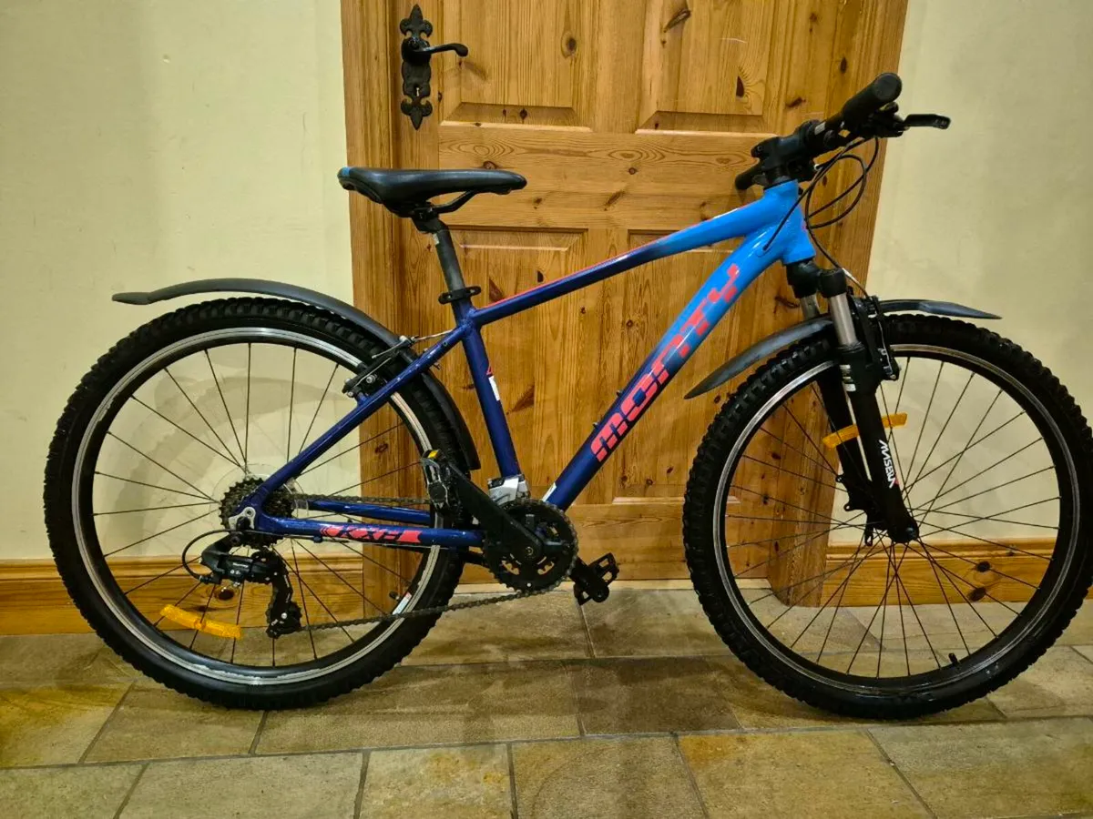 16 inch Monty Mountain Bike - Image 1