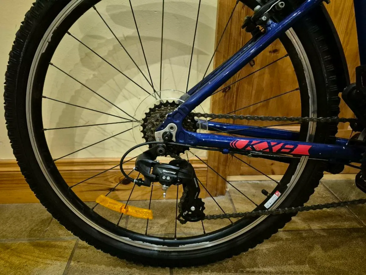 16 inch Monty Mountain Bike - Image 2