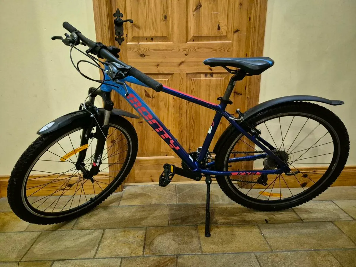 16 inch Monty Mountain Bike - Image 4