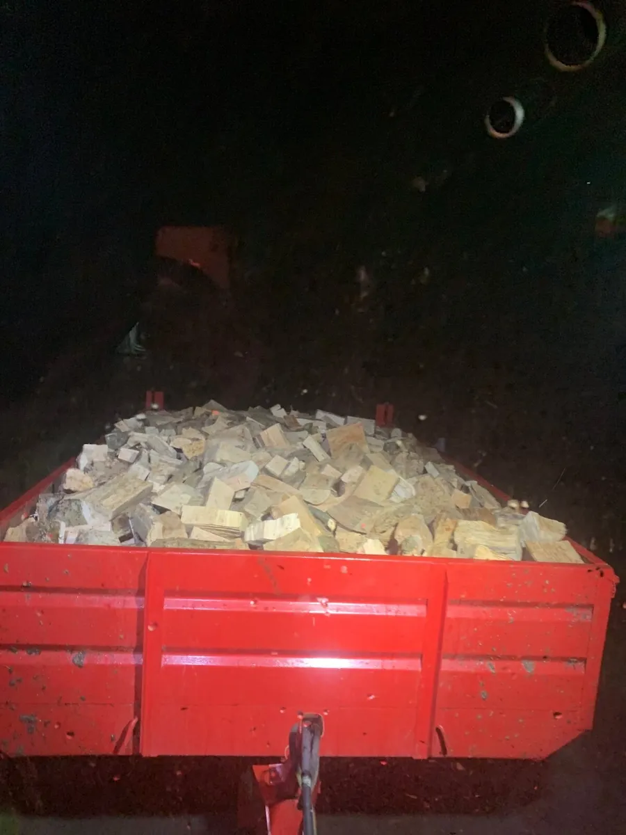 Ash firewood - Image 1