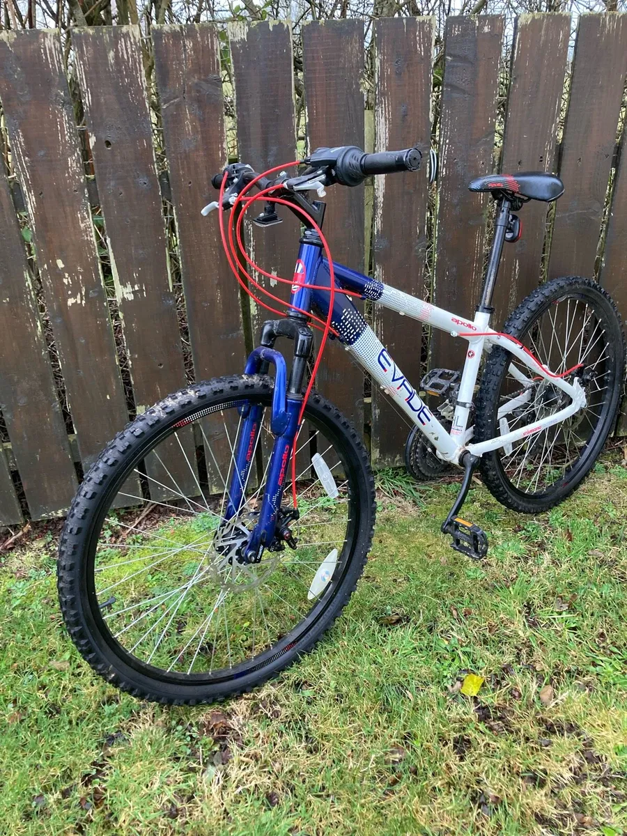 Mountain bike - Image 1