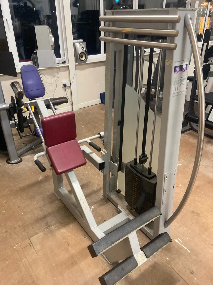 Calf raise machine - Image 1
