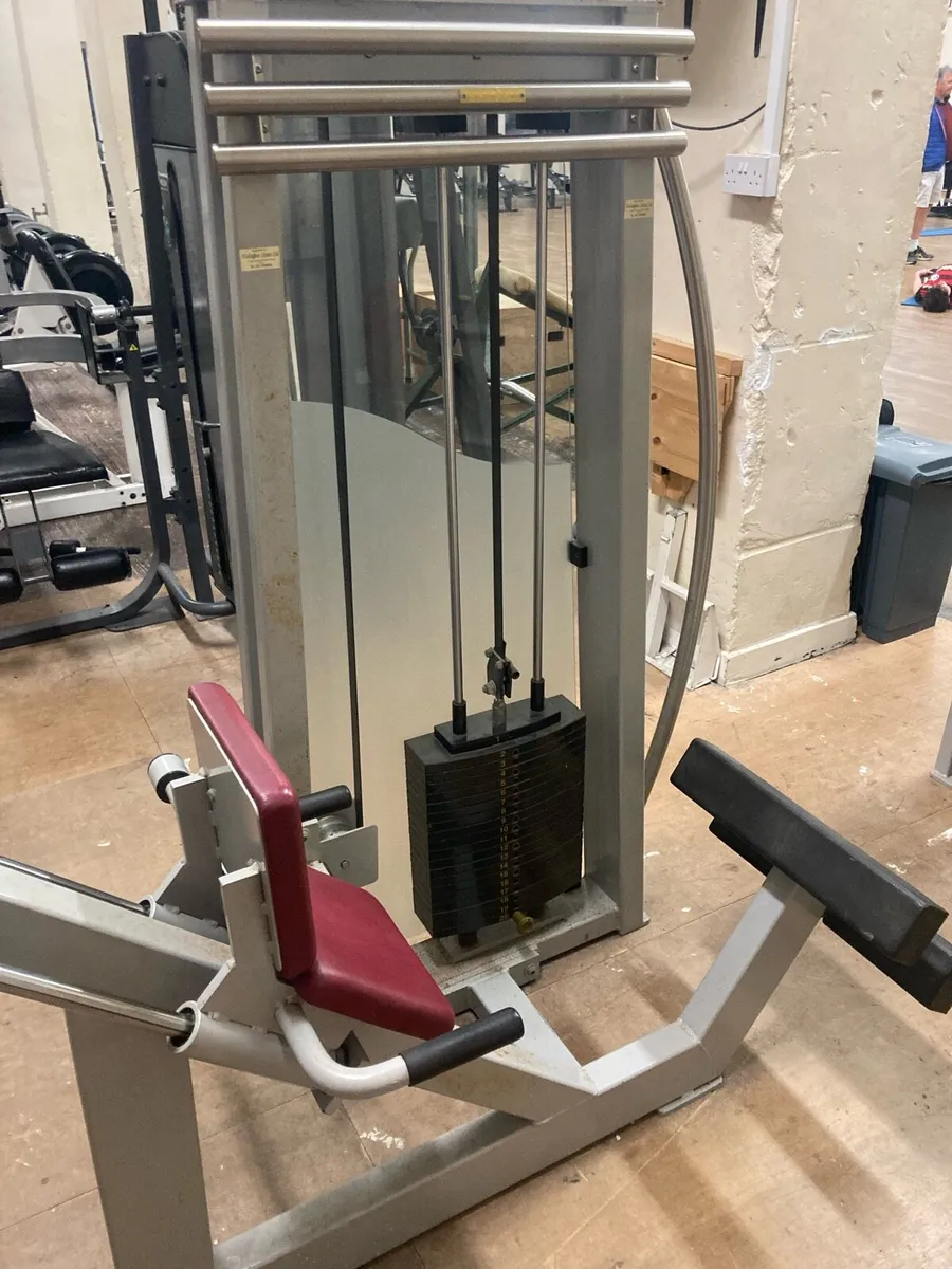 Calf raise machine - Image 2