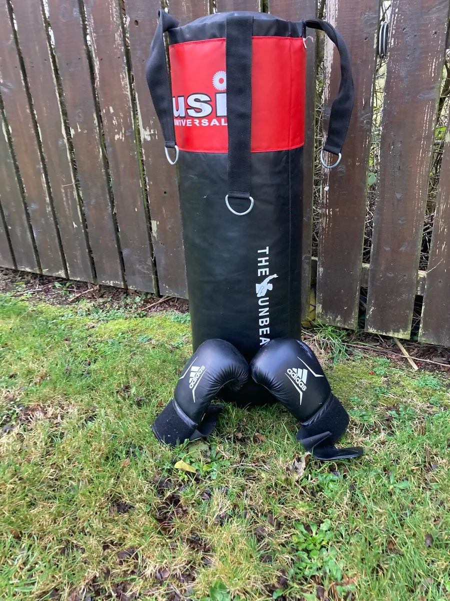 Boxing bag and gloves - Image 1