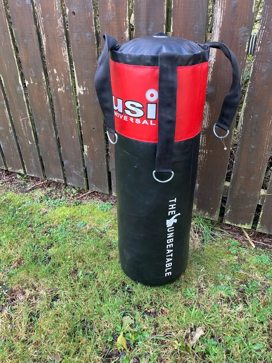 Boxing bag and gloves - Image 2