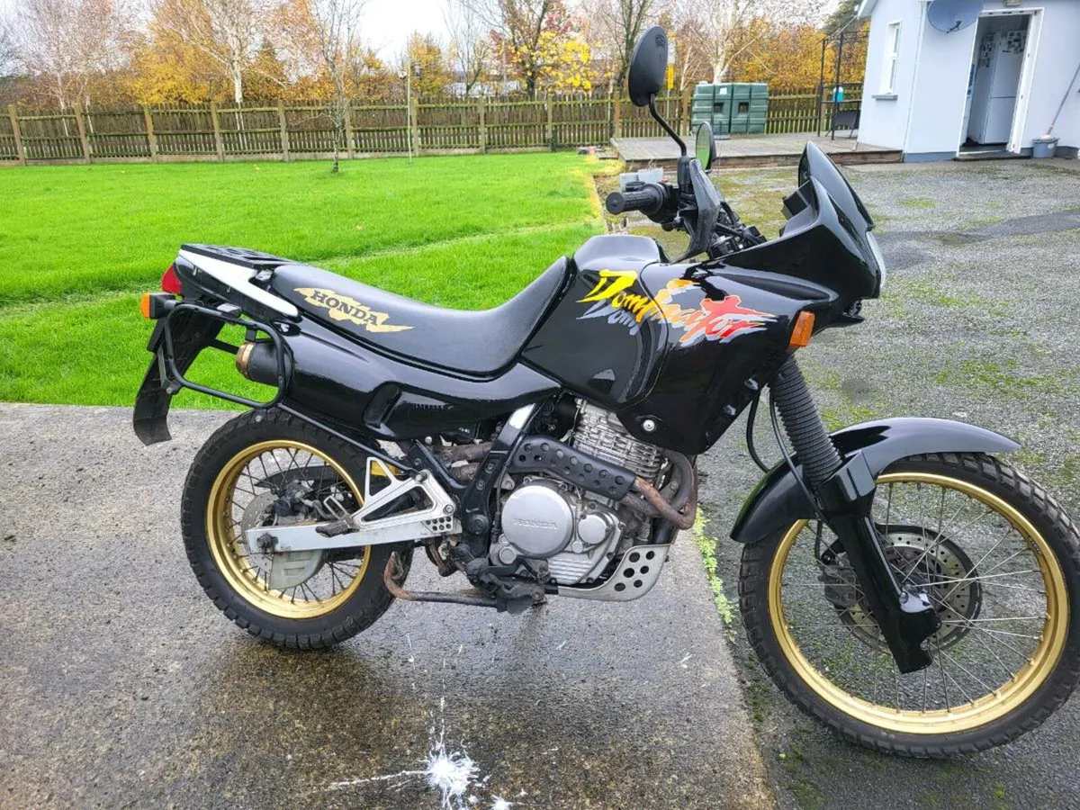 Honda dominator nx650 - Image 2