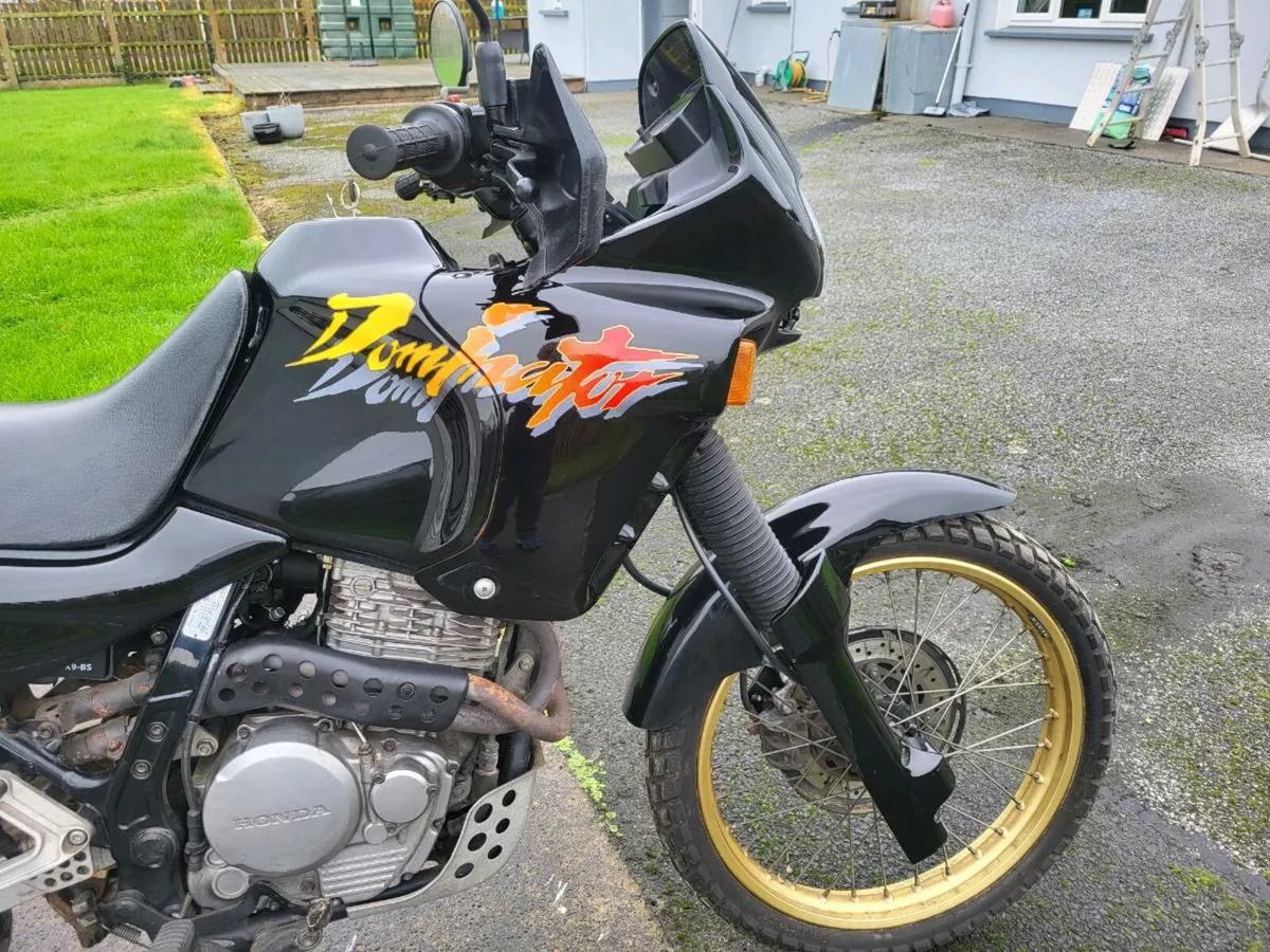 Honda dominator nx650 - Image 3