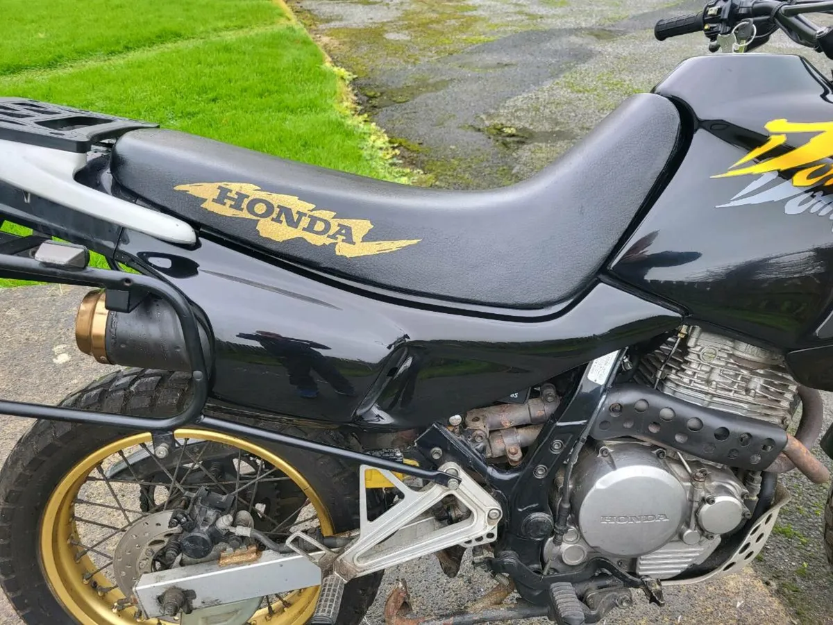 Honda dominator nx650 - Image 4