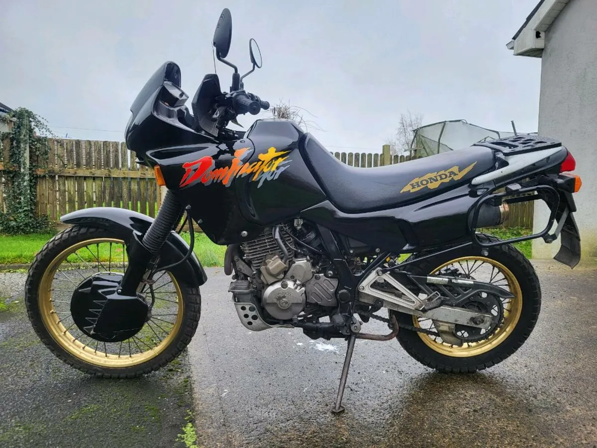 Honda dominator nx650 - Image 1