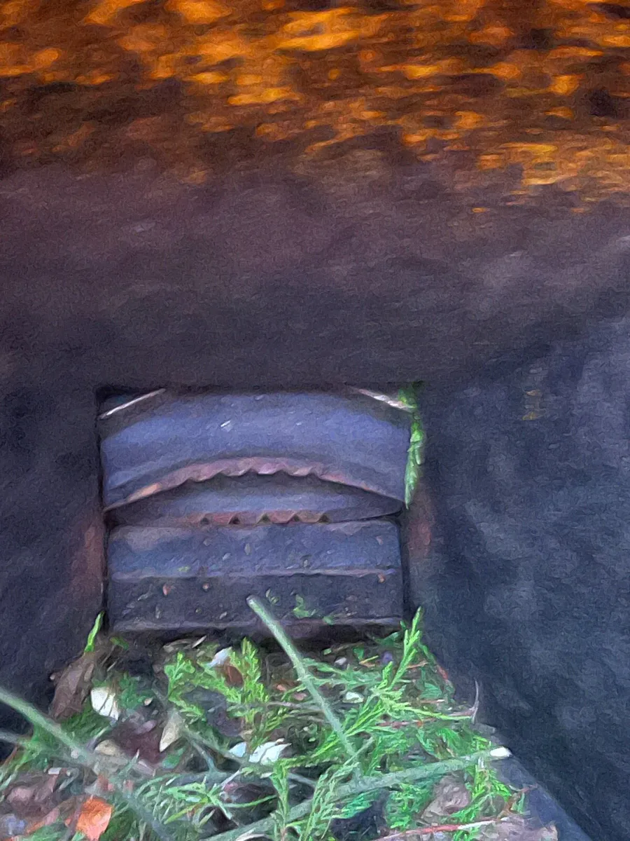 Schleisling 220 woodchipper - Image 2