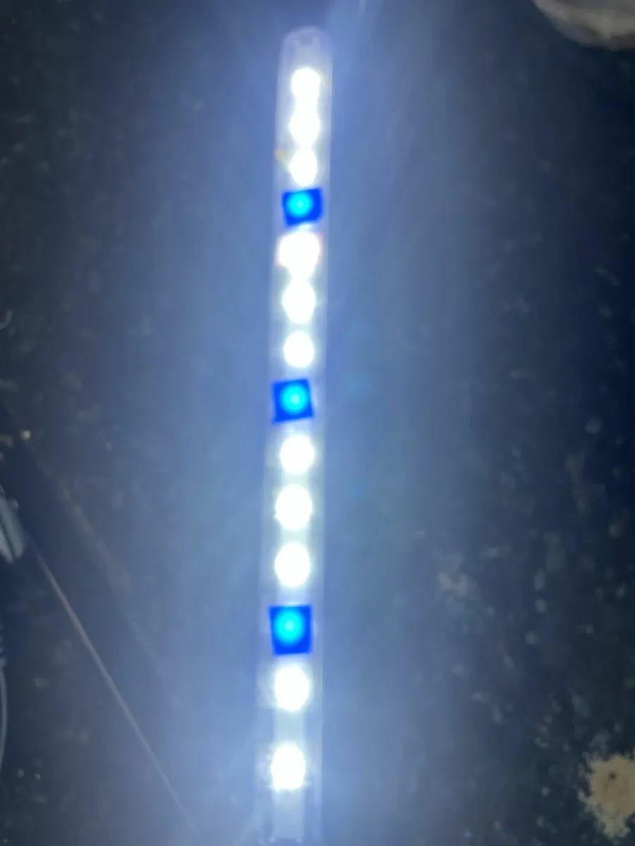 Aquarium 180L Fluval 208 Filter Cannister Heater - Image 2