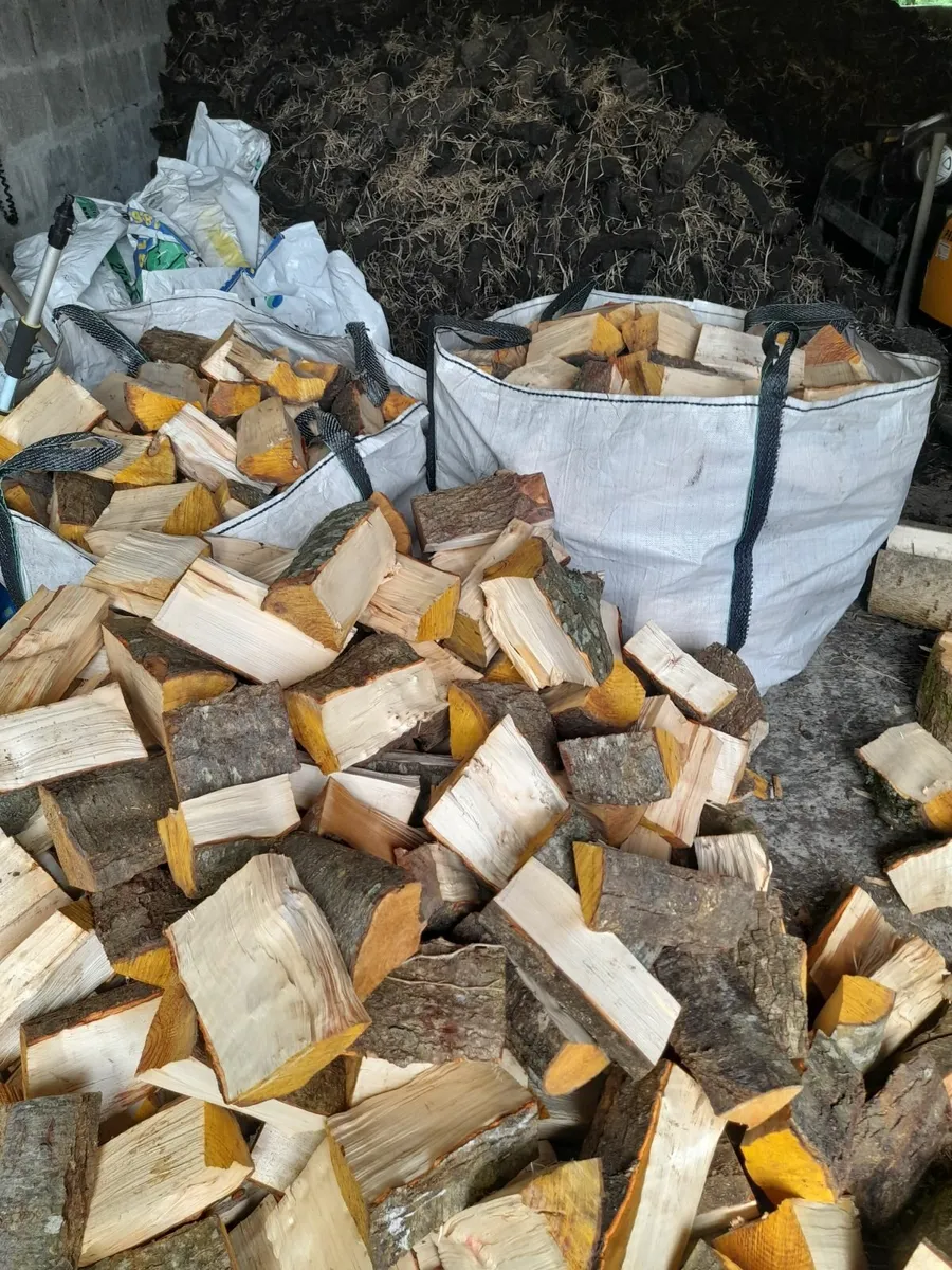 Hardwood firewood - Image 2