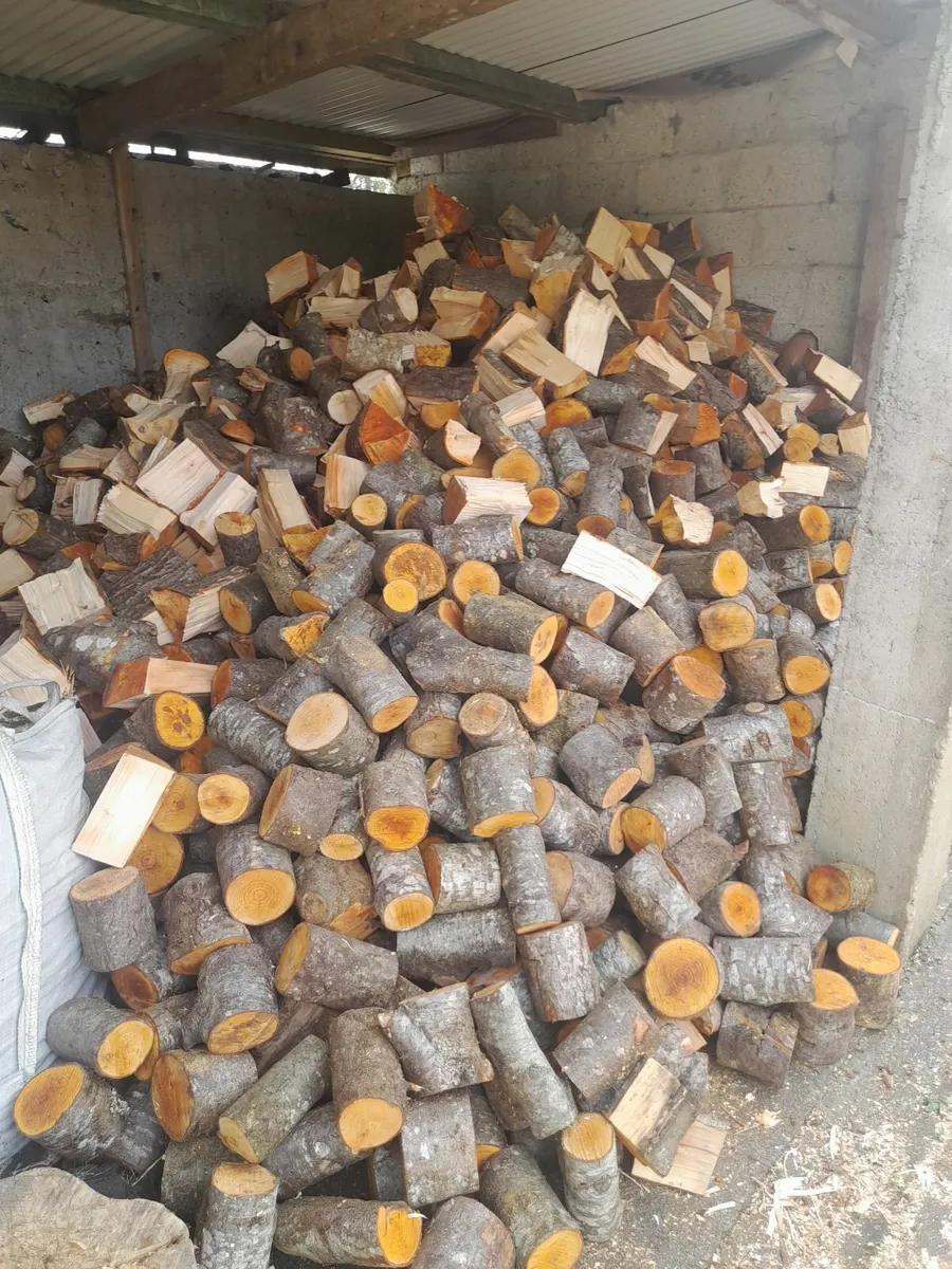 Hardwood firewood - Image 4