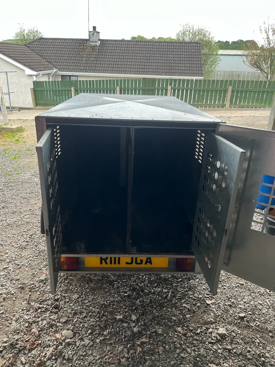 3 berth dog trailer - Image 4