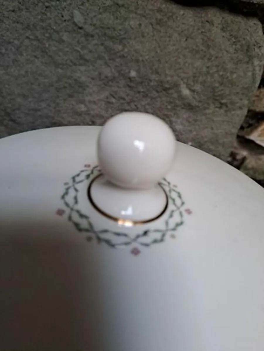 Royal Doulton Albany tureen - Image 3