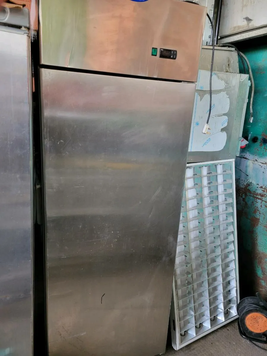 Fridge Upright Stainless Steel Fridge - Image 1